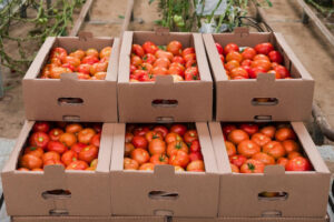 Transport de produits frais